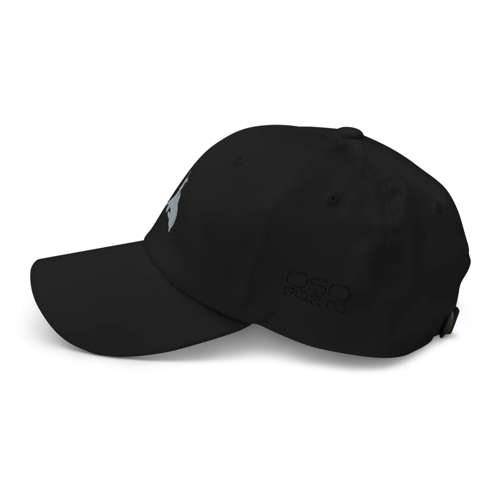 Put Away Wet Dad Hat/Ballcap