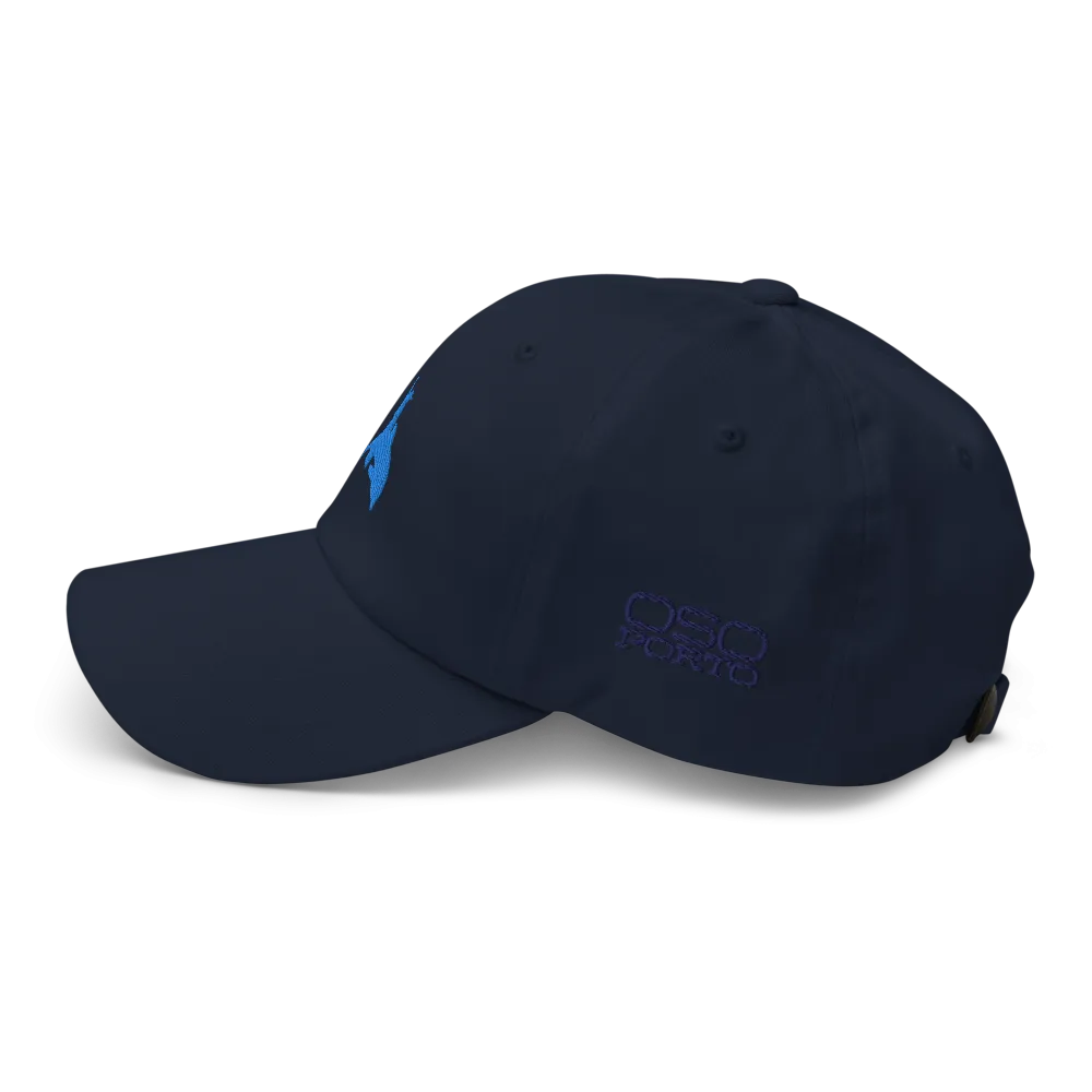 Put Away Wet Dad Hat/Ballcap