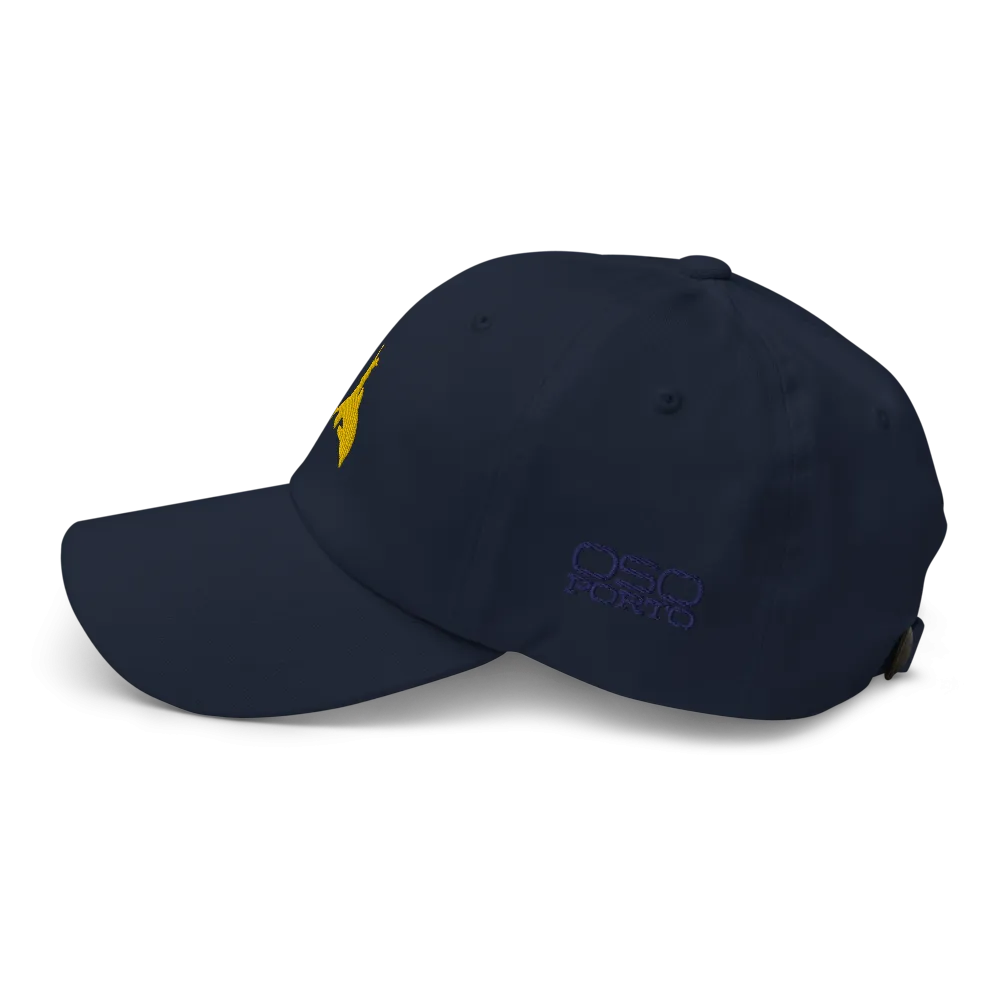 Put Away Wet Dad Hat/Ballcap