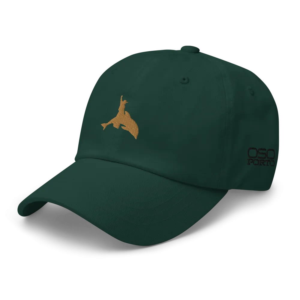 Put Away Wet Dad Hat/Ballcap